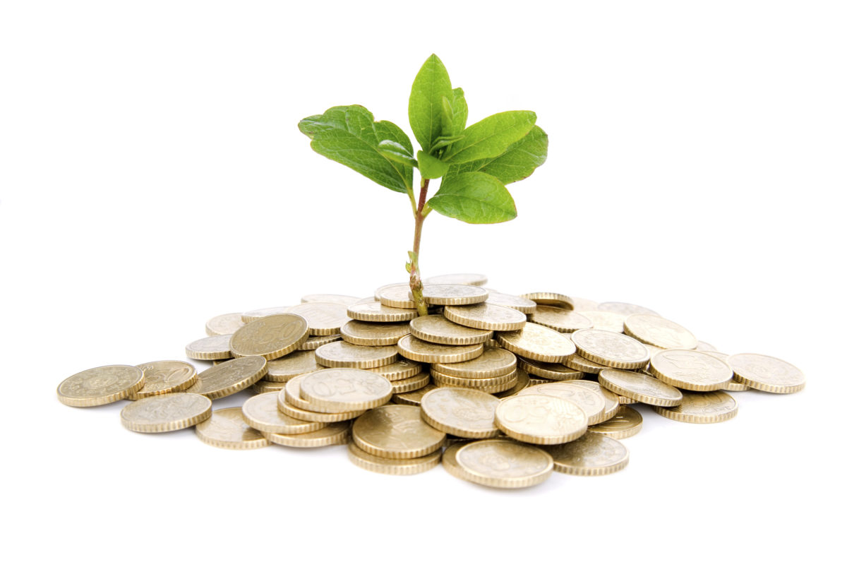 Tree growing in coins